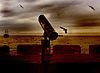 skorpions zdj�cia