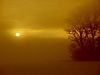 fotografia kwiat�w