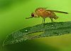 wyj�tkowe zdj�cia modelek