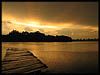 owad�w fotografia