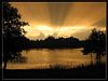 wyj�tkowe zdj�cia owad�w