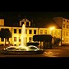 kolekcja zdj�� drzew