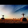 r�norodne fotografie przyrody