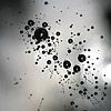 na snopkach niesamowite zdj�cia